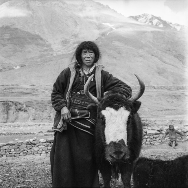 Amala with her Yak